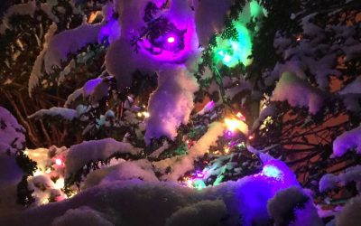 Merry Christmas and Happy New Year from Big O