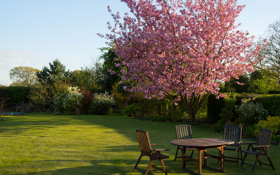 Lawn and Plant Care 2019 Renewals