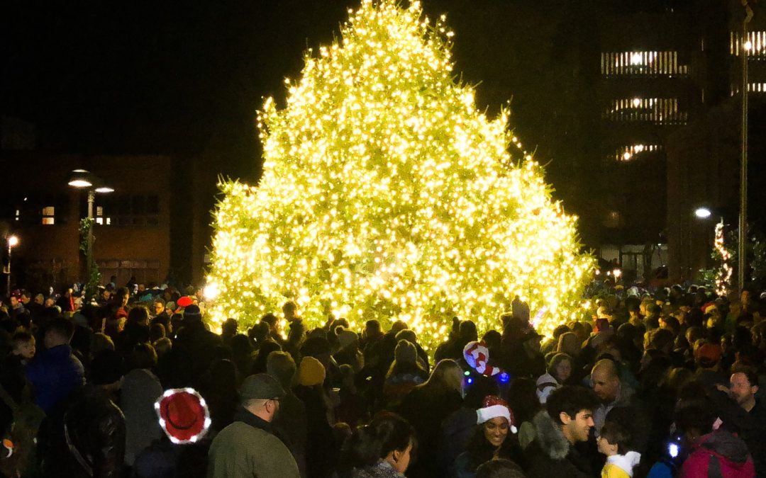 Crew Cuts Down Tree for Charlottesville’s Grand Illumination
