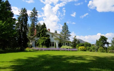 Why Spring Plant Care Matters