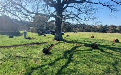 What is a Soil Enhancement?