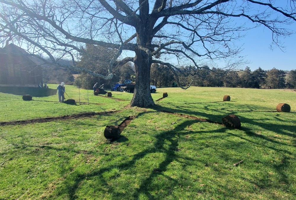 What is a Soil Enhancement?